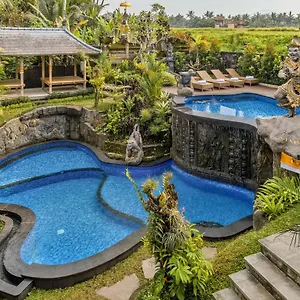 4* Hotell Gynandha