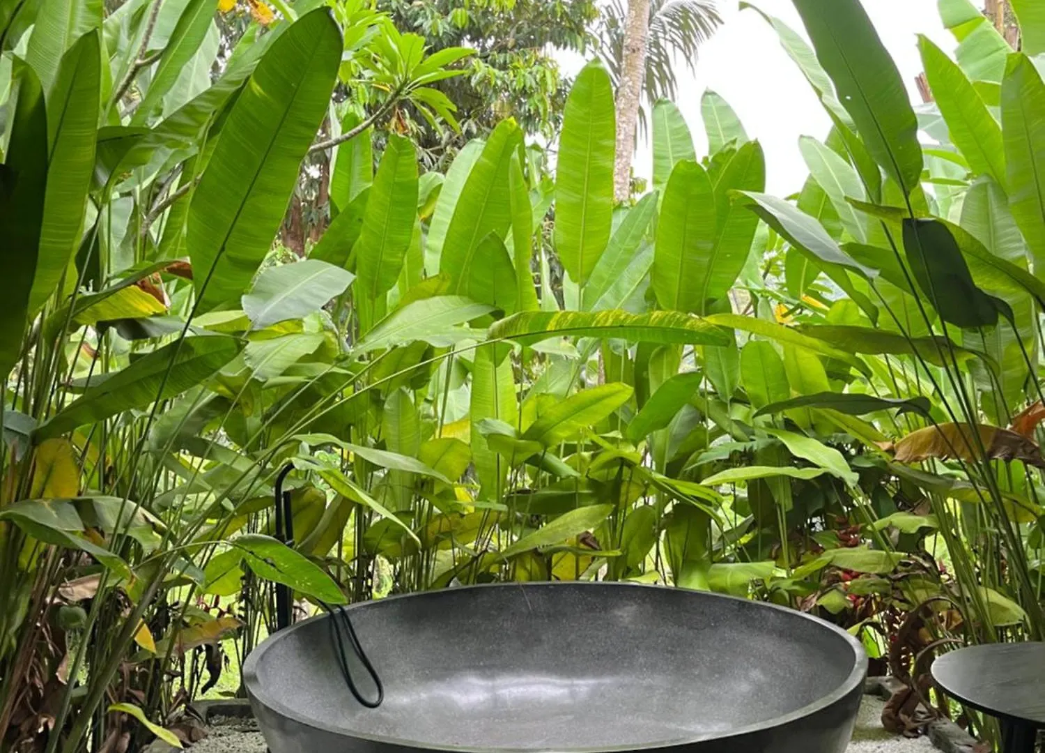 House Of Joy By Bcg Hotel Ubud  Indonesia