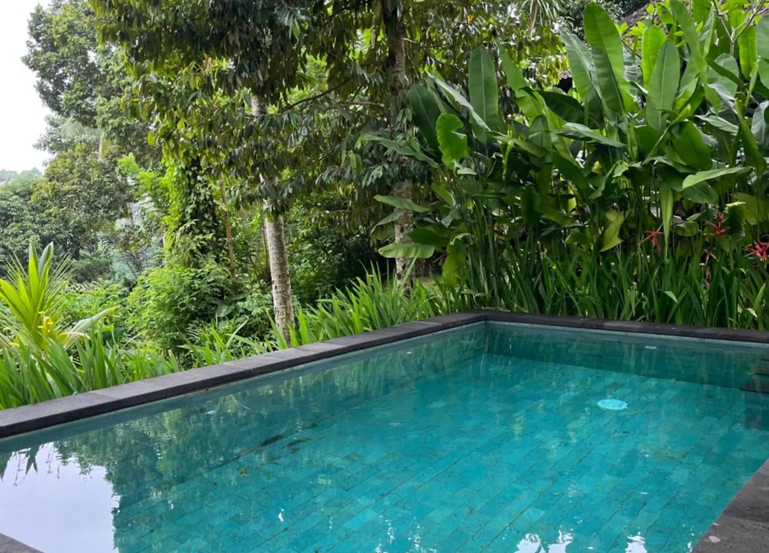 House Of Joy By Bcg Hotel Ubud  0*, Ubud (Bali)